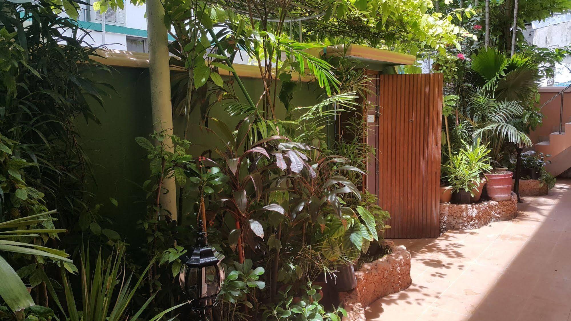 Skai Lodge Malé Exteriör bild
